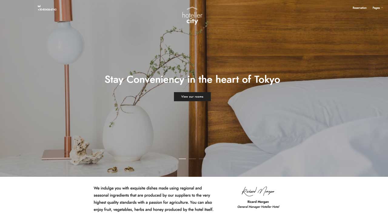 View projectCity Hotel - Demo page 2